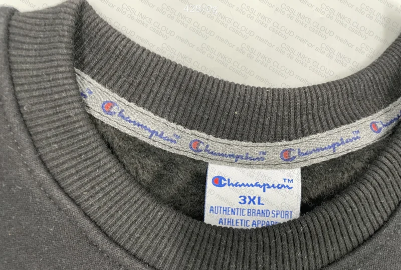 Champion x the north face 2
