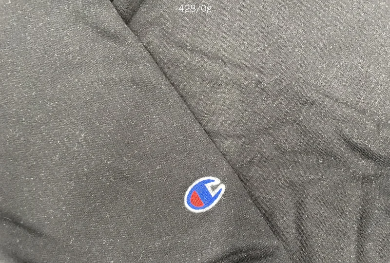 Champion x the north face 3