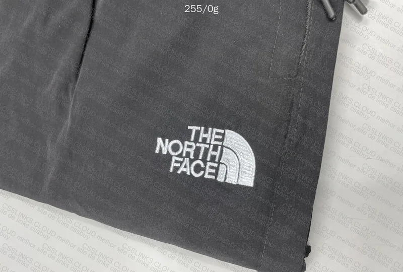 Champion x the north face 4