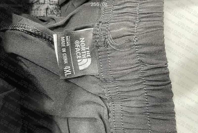 Champion x the north face 5