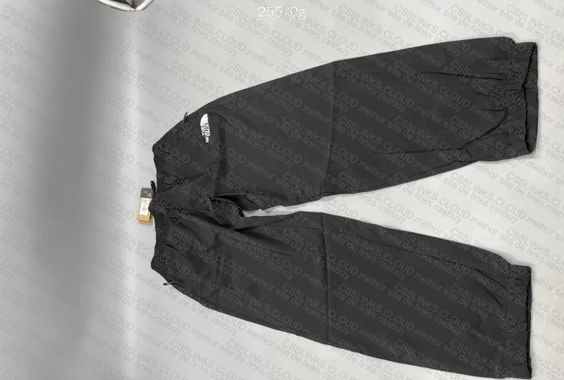 Champion x the north face 6