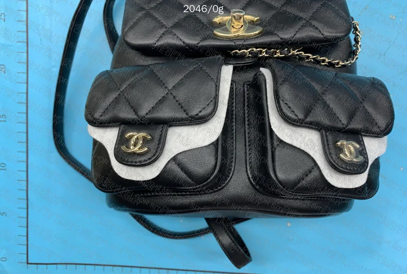 Chanel Bag (Scarlett) 4