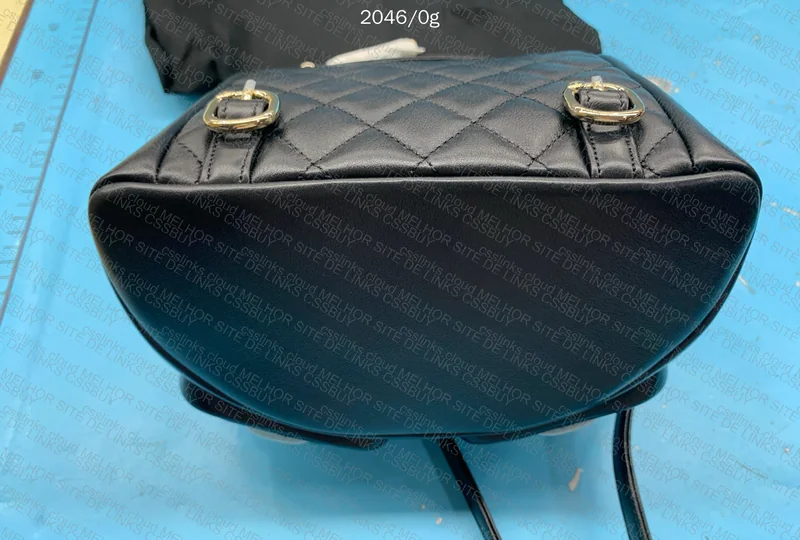Chanel Bag (Scarlett) 6