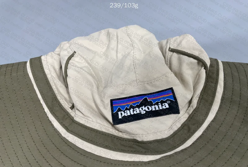 Patagonia Hat