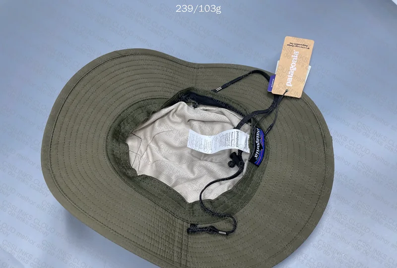 Patagonia Hat 3