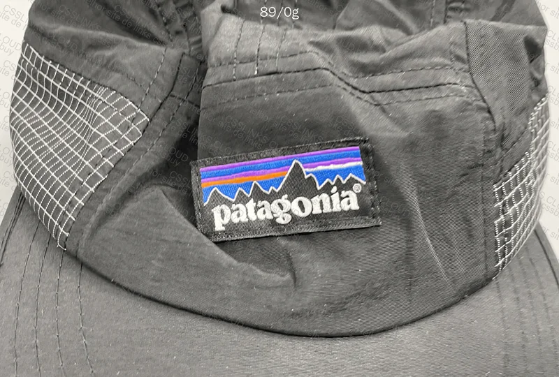 Patagonia Hat 2