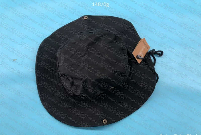 Patagonia Hat 2