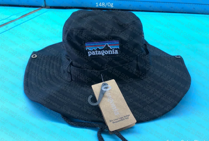 Patagonia Hat 4