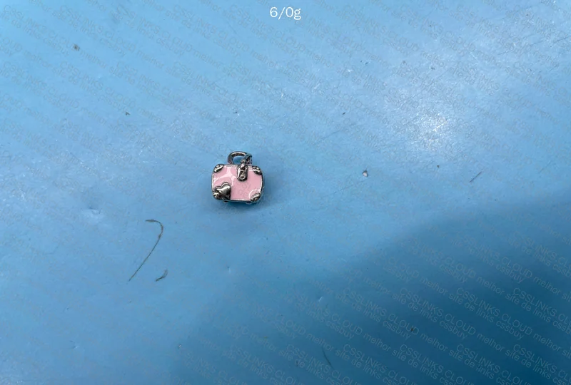 Pandora 925 Silver Panduolei Charm 2