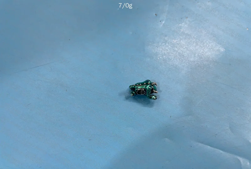 Pandora 925 Silver Panduolei Charm 3