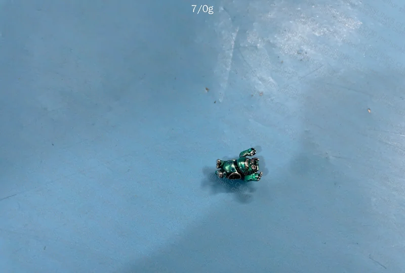 Pandora 925 Silver Panduolei Charm 4