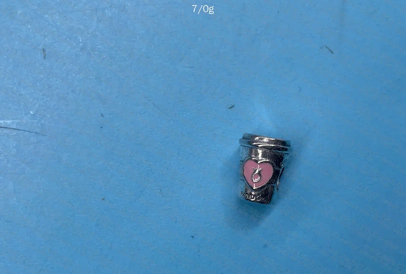 Pandora 925 Silver Panduolei Charm 6