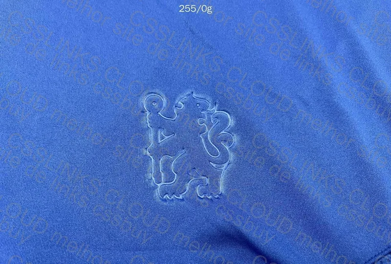 Chelsea 2006-2007 10
