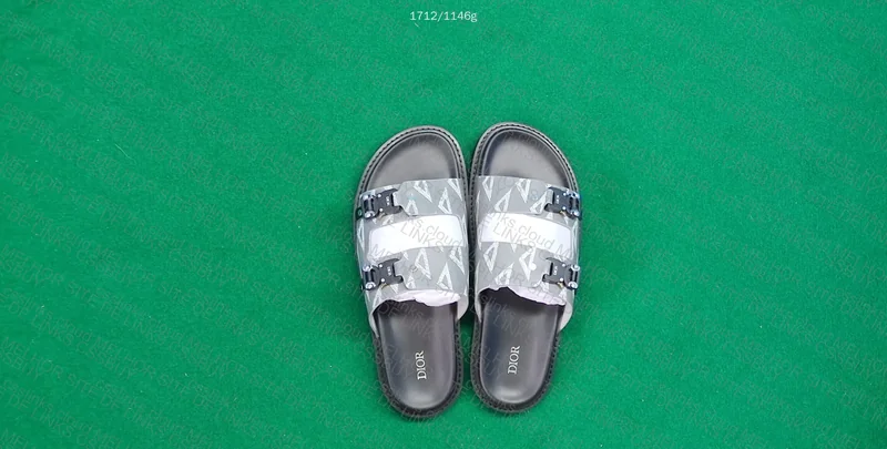 Dior Slides 2