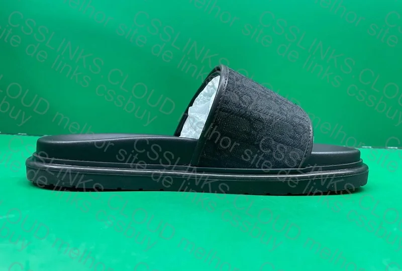 Dior Slides 2