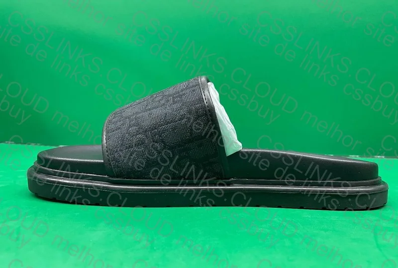Dior Slides 6