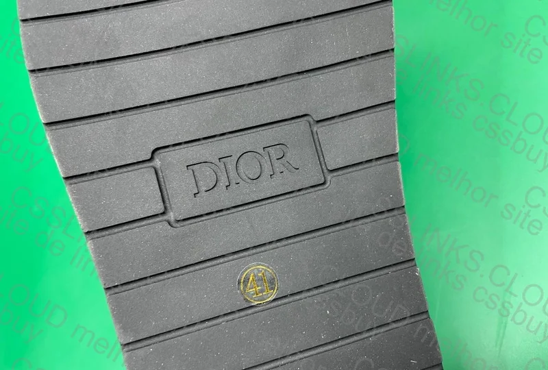 Dior Slides 9