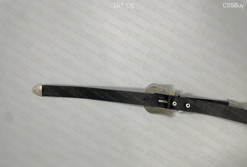 Belt 2 Buckles 2