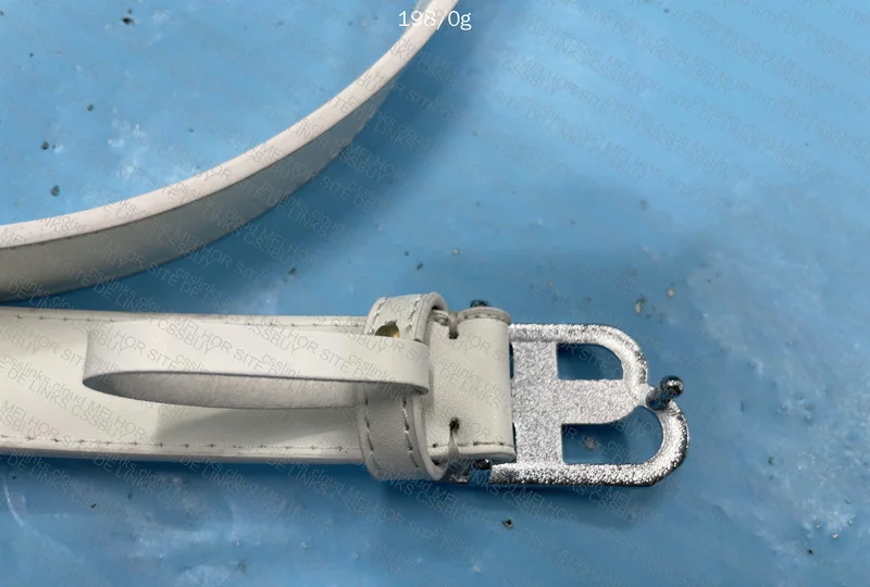 Balenciaga Belt 2