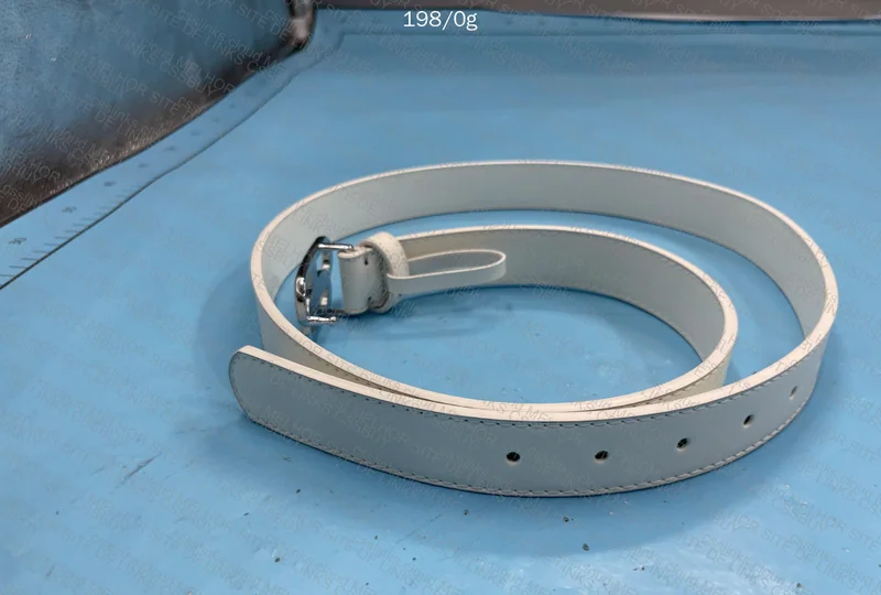 Balenciaga Belt 6