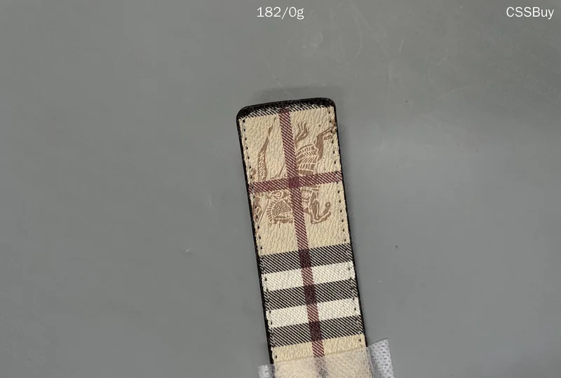 Burberry Belt 2