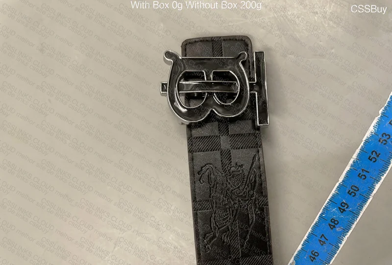 Burberry Belt 2