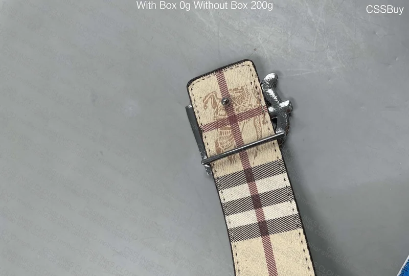Burberry Belt 3