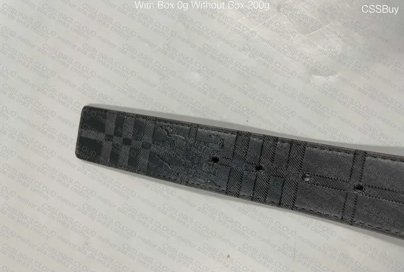 Burberry Belt 4