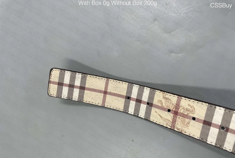 Burberry Belt 5