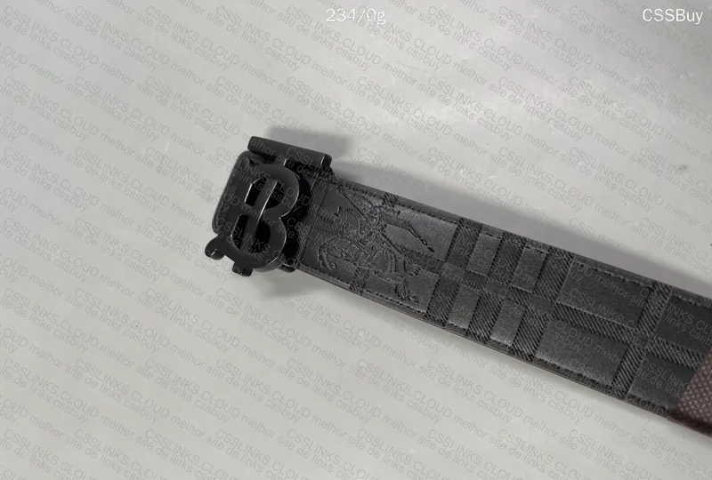 Burberry Belt 3
