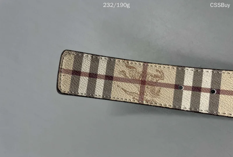 Burberry Belt 2