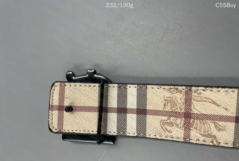Burberry Belt 4