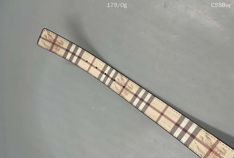 Burberry Belt 4