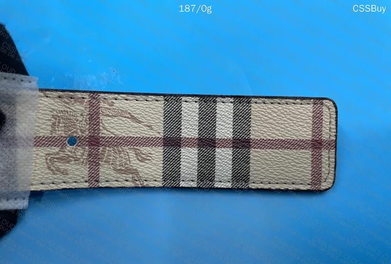 Burberry Belt 4