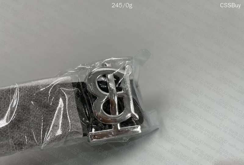 Burberry Belt 2
