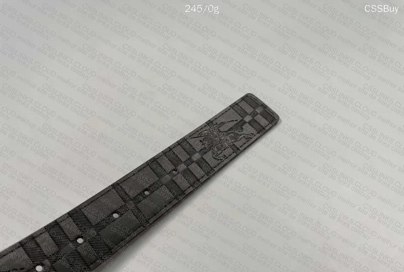 Burberry Belt 3