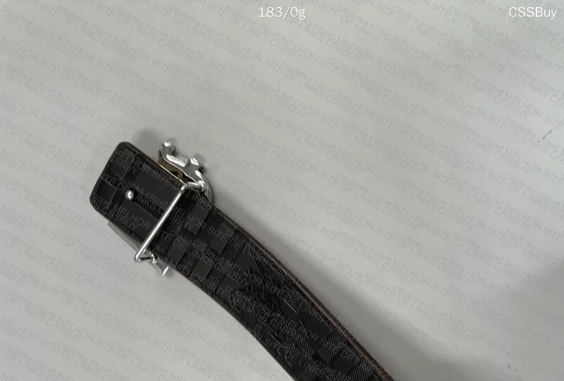 Burberry Belt