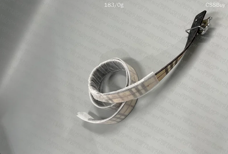 Burberry Belt 2