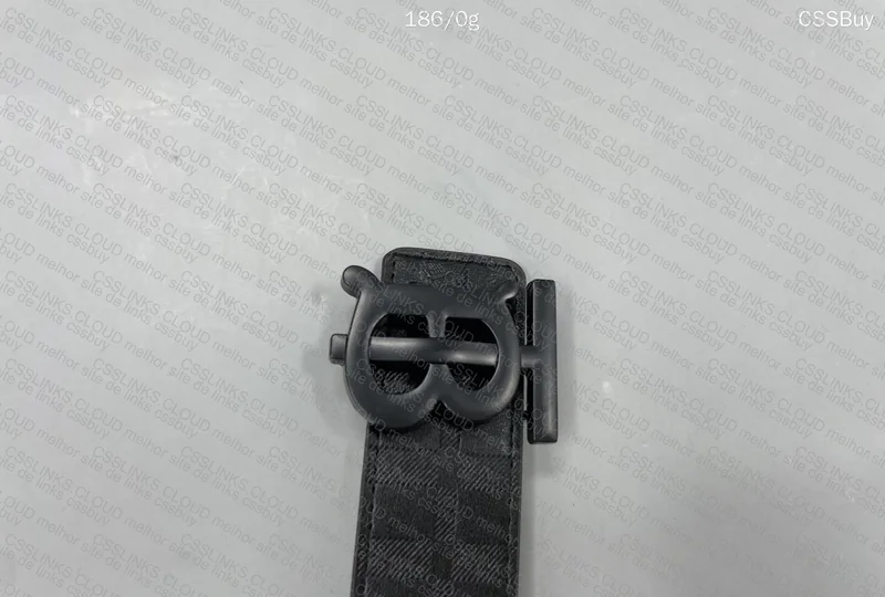 Burberry Belt 2