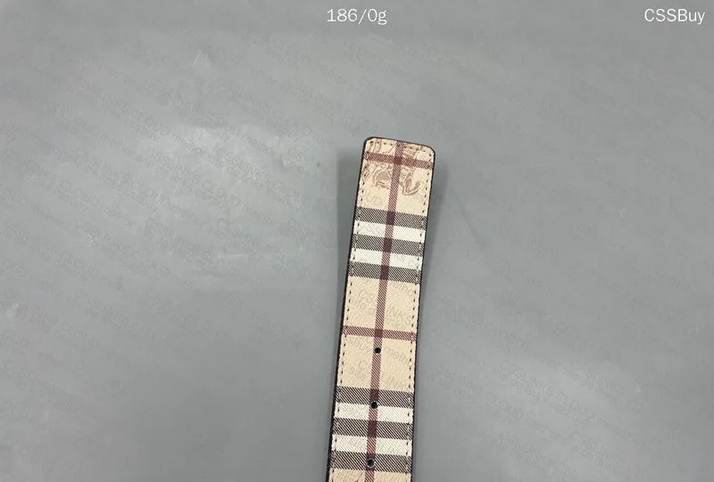 Burberry Belt 3