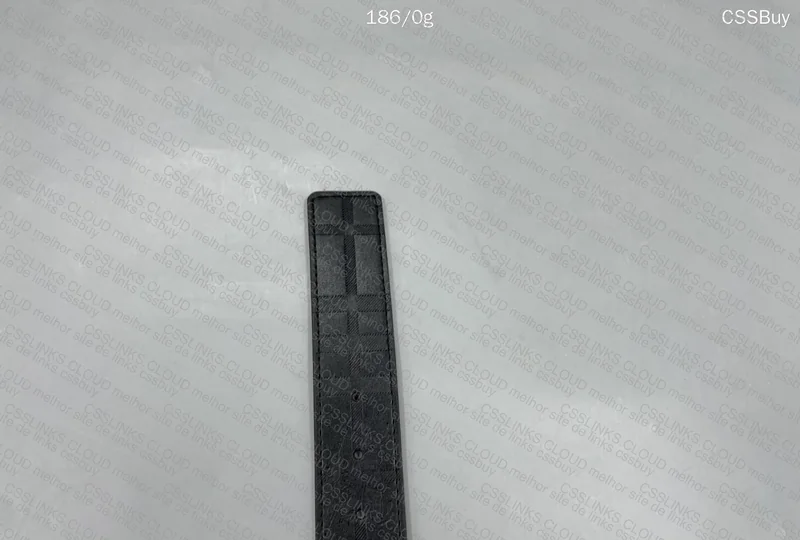 Burberry Belt 4