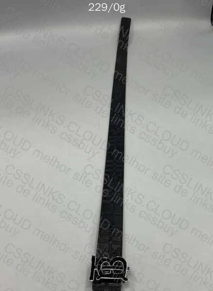 Burberry Belt