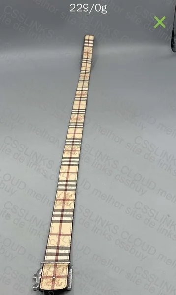 Burberry Belt 2