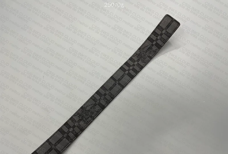 Burberry Belt 2