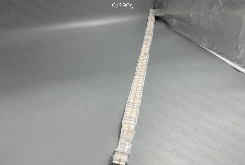 Burberry Belt 2