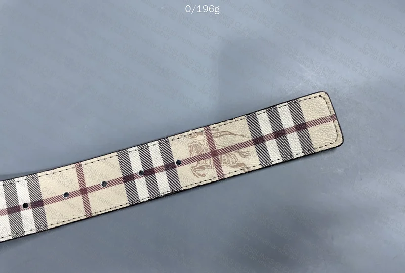 Burberry Belt 6