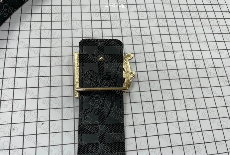 Burberry Belt 3