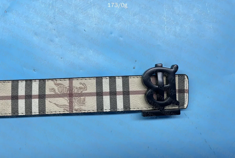 Burberry Belt 2