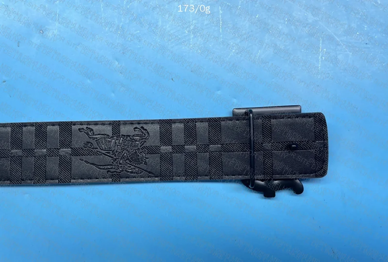 Burberry Belt 3