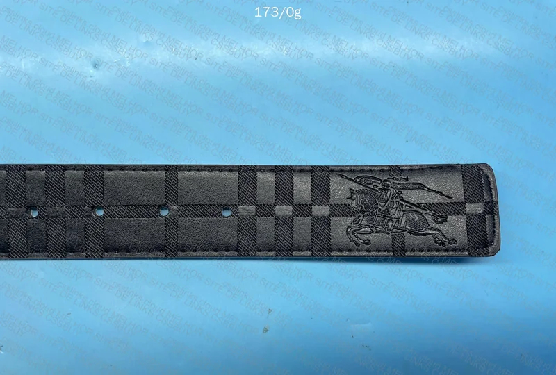 Burberry Belt 5